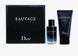 Sauvage Dior для чоловіків 1130 фото 1