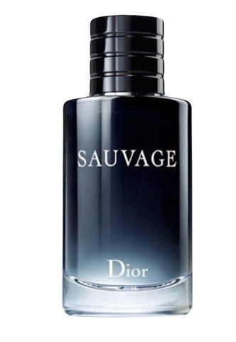 Sauvage Dior для чоловіків 379 фото